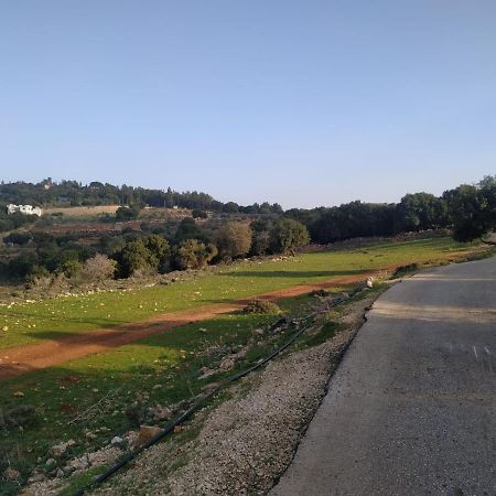 Ferienwohnung Benichuta Mitzpe Hila Exterior foto